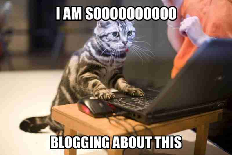 The First Ever “Blog Every Day Using Nothing But Memes, Jokes, and Cartoons Challenge”