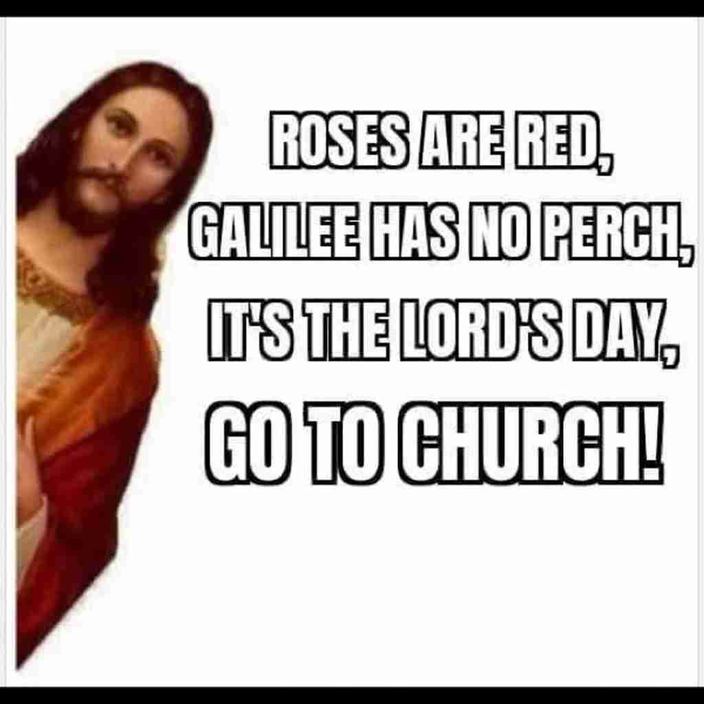 Blog Every Day Using Nothing But Memes Challenge – Day Eight