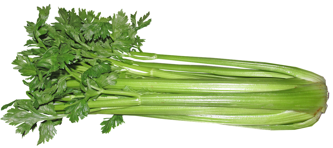 Throw It Back Thursday on Tuesday – The Country and Western Celery Song